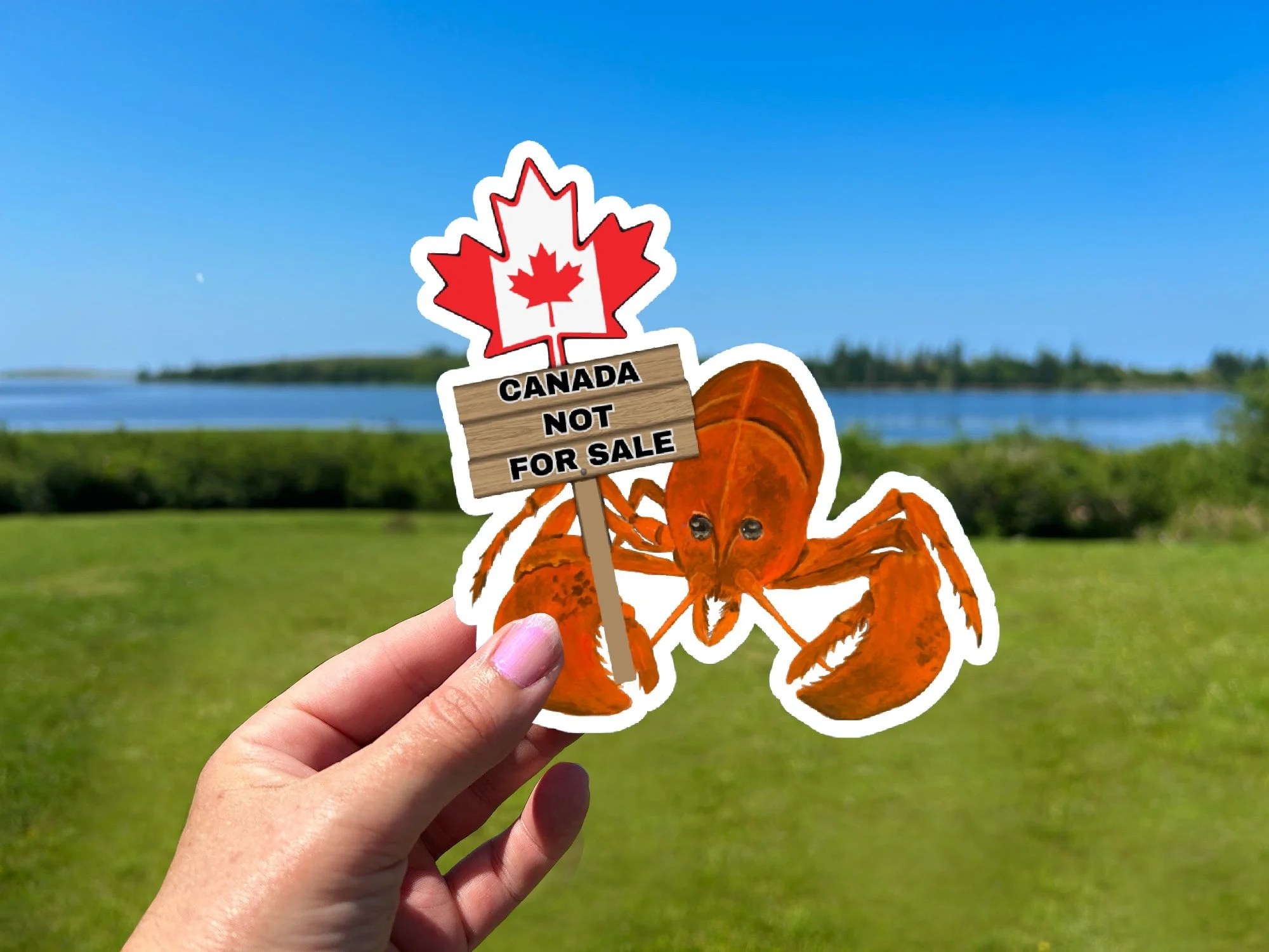 Nova Scotia Lobster Vinyl Sticker, Die-Cut Weatherproof Lobster